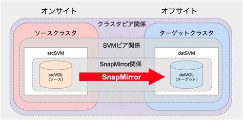 netapp snap mirror best practices.